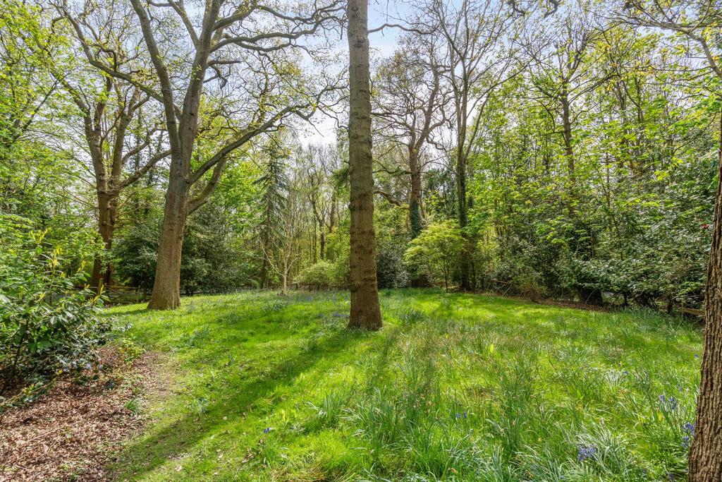 Garden view, garden