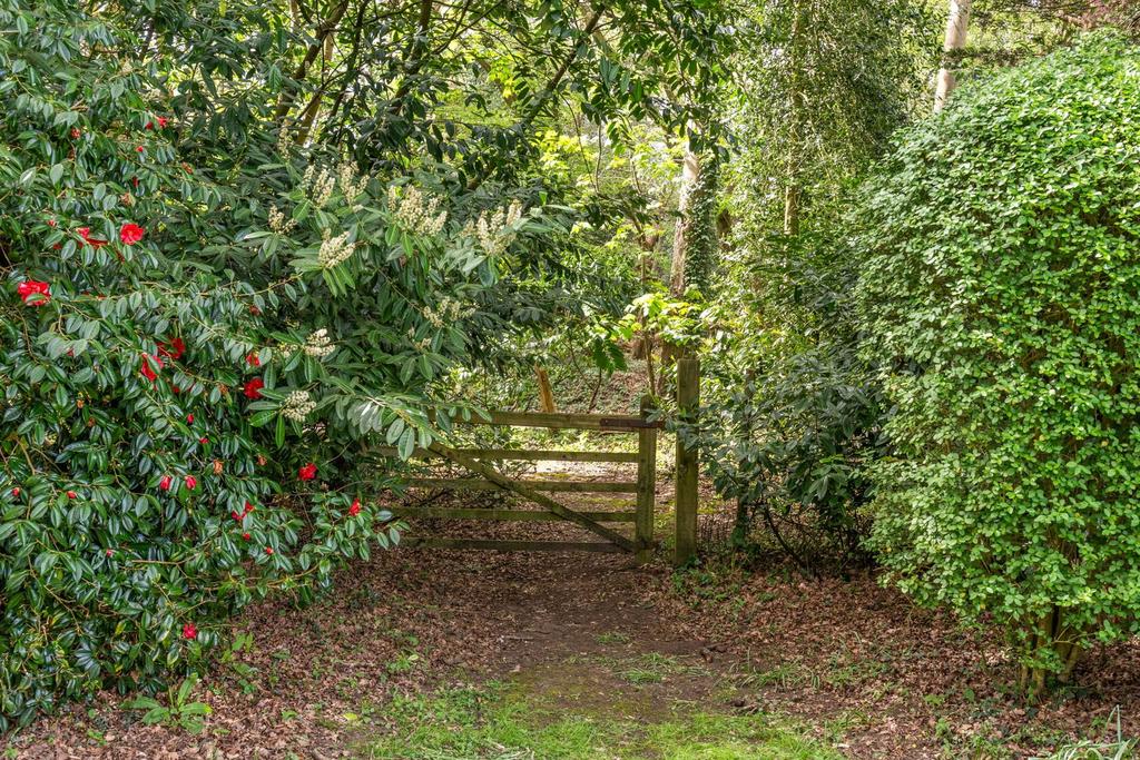 Garden view, garden