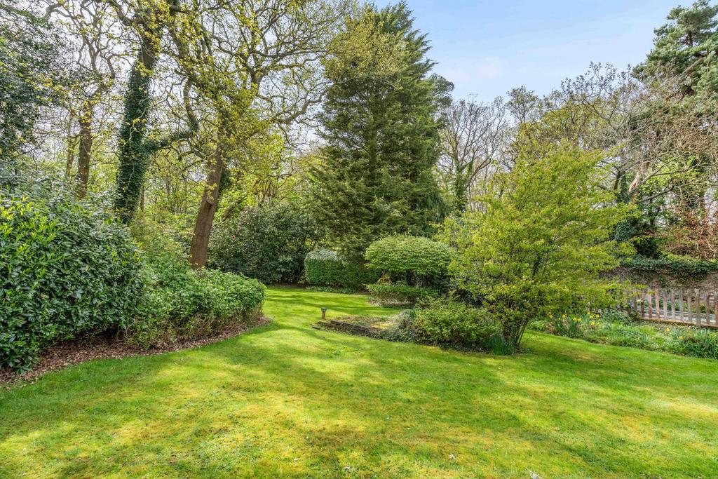Garden view, garden