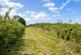 Additional image 15 of Tibbs Court Lane, Brenchley, TN12