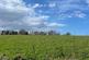 Additional image 20 of East Ord, Berwick-Upon-Tweed