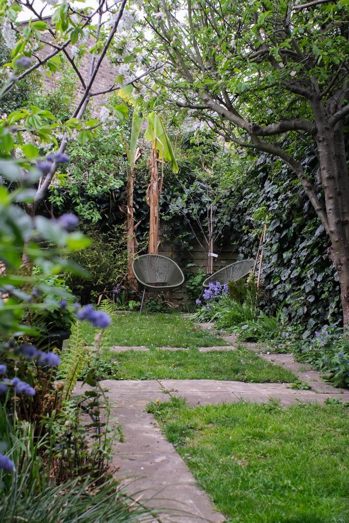 Garden view, garden