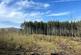 6.00 Acres - Bagtor Wood, Devon TQ12