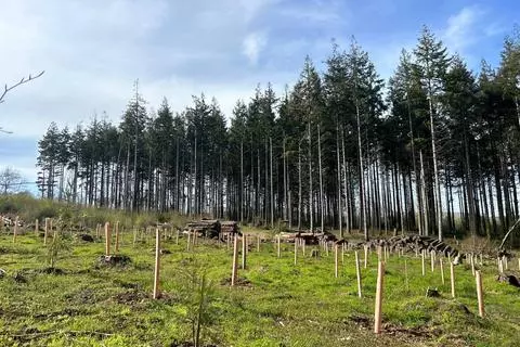 Land for sale - View 2