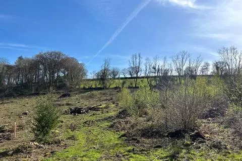 Land for sale - View 3