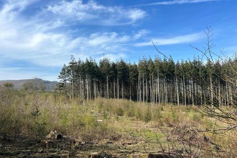 Land for sale, 6.00 Acres - Bagtor Wood, Devon TQ12