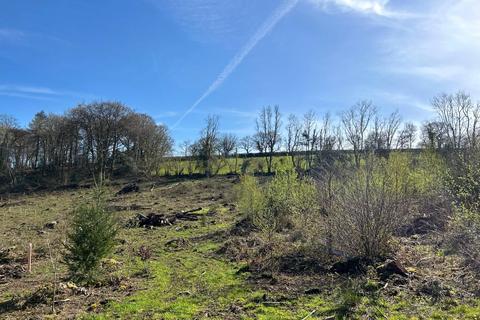 Land for sale, 6.00 Acres - Bagtor Wood, Devon TQ12