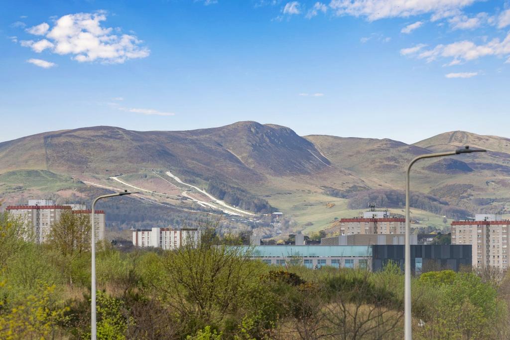 127 Milligan Drive, Edinburgh, EH16 4XD - View 6