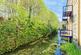 Additional image 7 of Mill Race, River, Dover, Kent, CT17