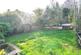 Additional image 13 of Cholmeley Park, London N6