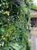 Additional image 28 of Blind Lane, Hurworth, Darlington