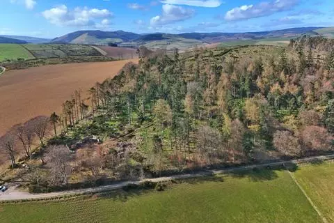 Woodland for sale