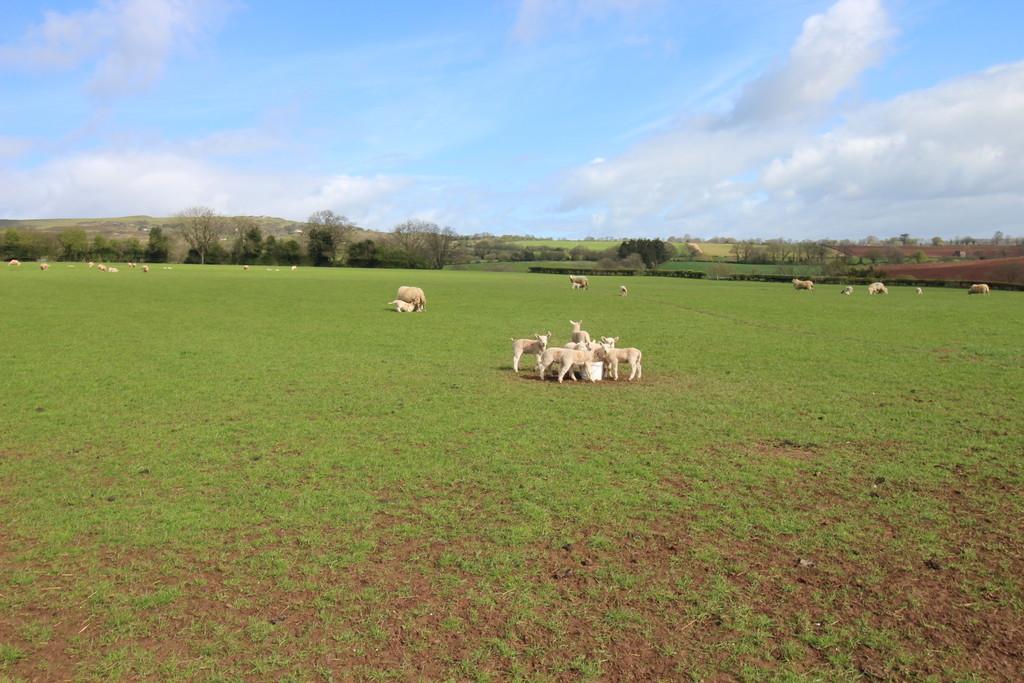 Land at New Barns Farm, Coreley... Land for sale - £200,000