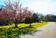 Addlestone, Surrey, KT15 photo 2