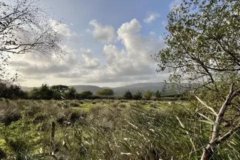 Woodland for sale - View 2