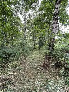 Woodland for sale - View 3