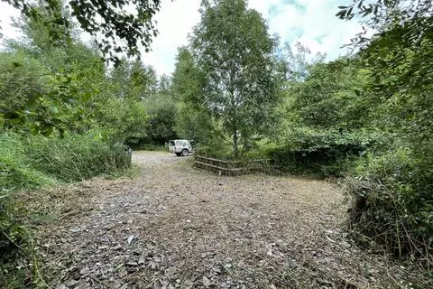 Woodland for sale - View 4