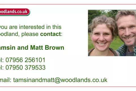Woodland for sale - View 5