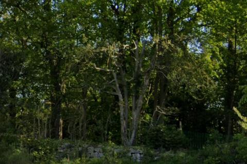 Land for sale, Hilton Wood, Crossford, Dunfermline, Fife KY12