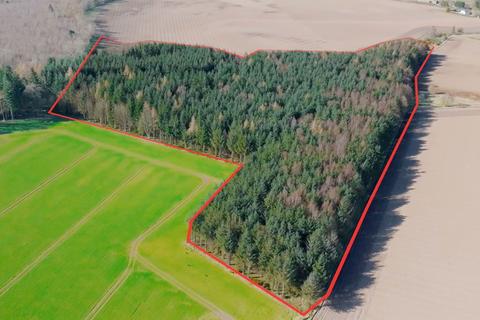 Land for sale, Muirwood East, 12.6 Acres, Dunning, Perth PH2