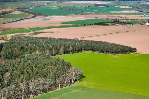 Land for sale, Muirwood East, 12.6 Acres, Dunning, Perth PH2