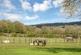 Additional image 4 of Newtown Linford LE67