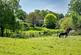South Brewham, Bruton, Somerset photo 2