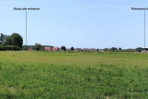 Land for sale, Land SE of Bramleys and E of the Myrtles, Pius Drove, Upwell, Norfolk, PE14 9AL