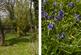 Additional image 31 of Woodlands Drive, Ockley