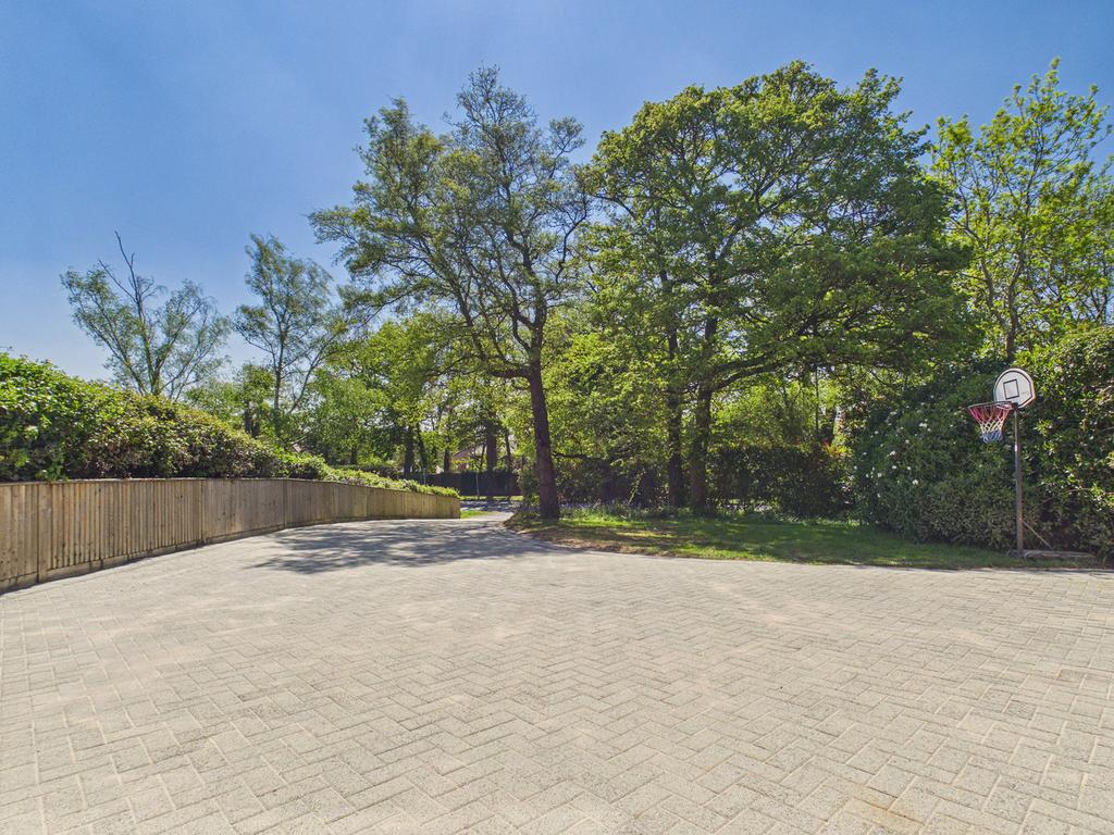 Driveway view, driveway