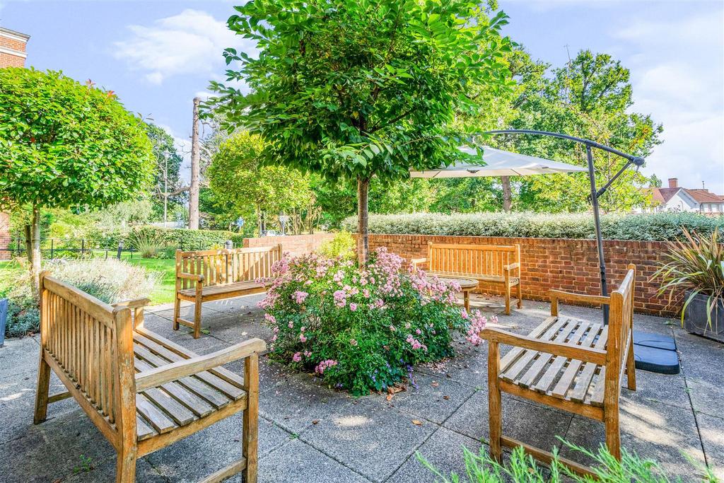 Garden view, garden
