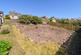 Additional image 15 of Clifford Road, Penrith