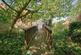 Additional image 16 of Watermill Court, Springwell, Havant