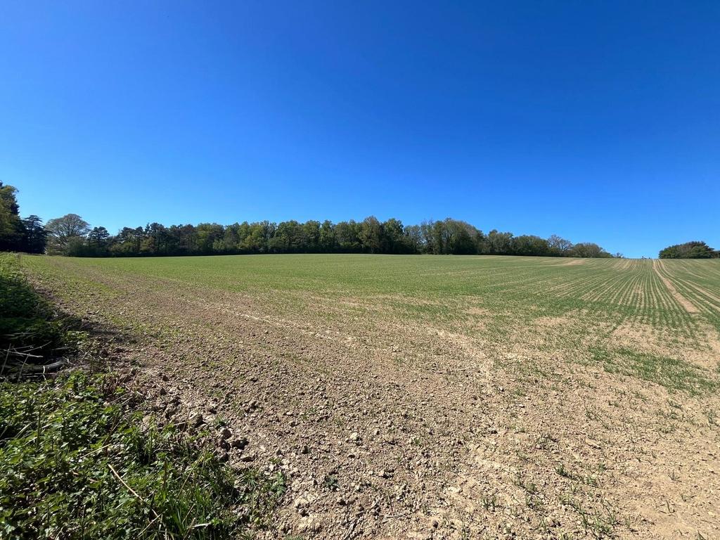 Whatlington Road, Whatlington, Battle, TN33 - View 5