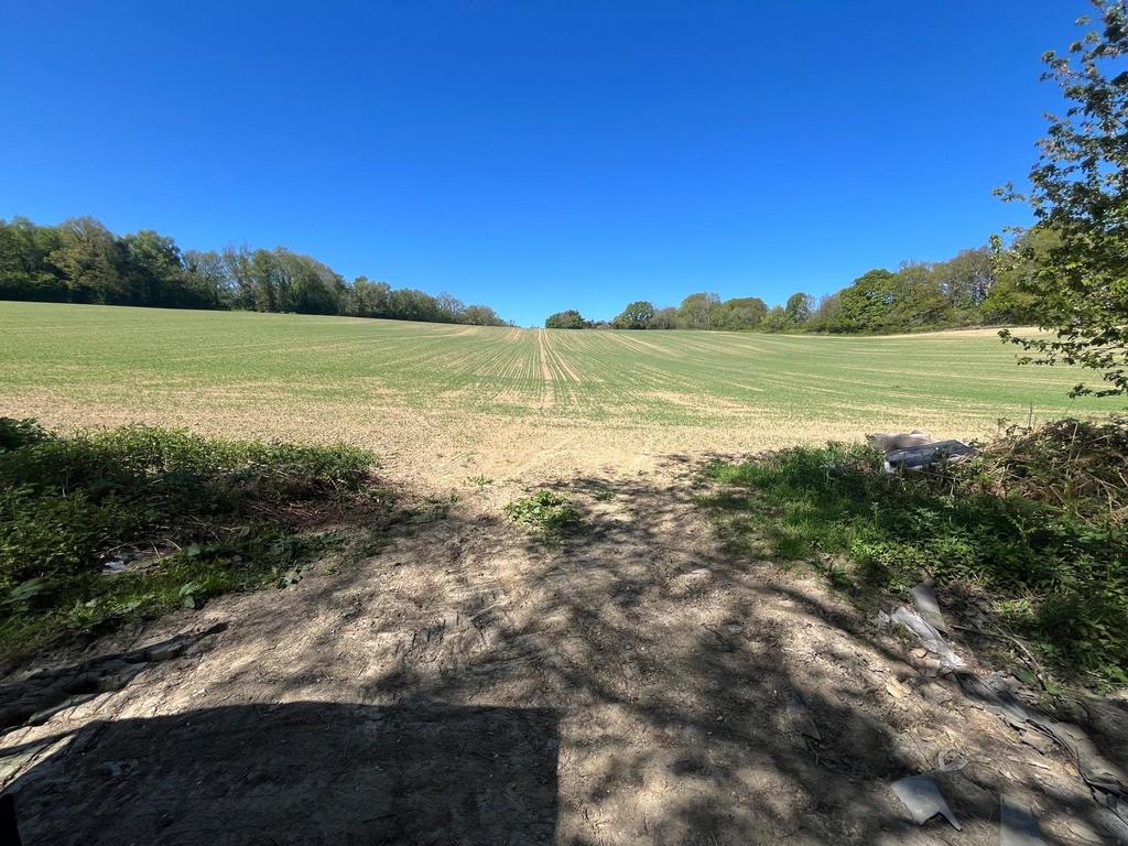 Whatlington Road, Whatlington, Battle, TN33 - View 6