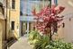 Additional image 8 of Abbey Court, TAVISTOCK PL19