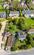 Additional image 27 of Yarmouth Road, Norwich NR13