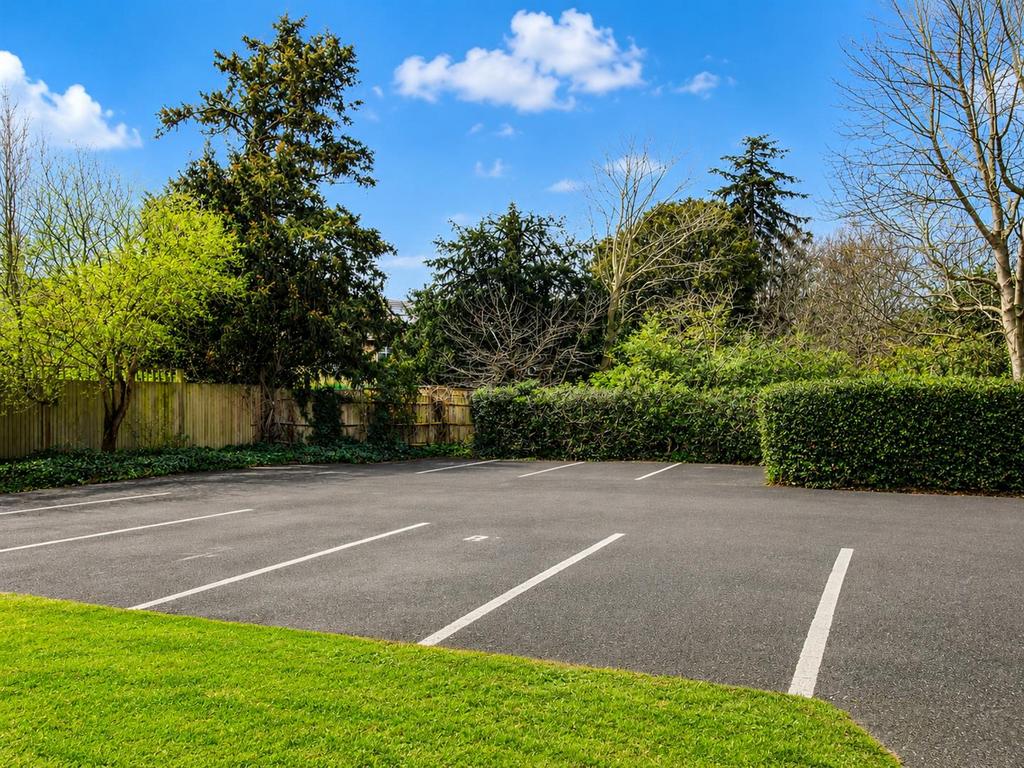 Driveway view