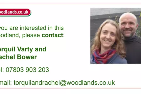 Woodland for sale - View 5