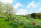 Additional image 13 of Yelverton PL20