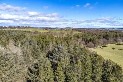 Land for sale, Kinkell Wood, Cothal, Aberdeen, AB21
