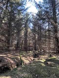 Land for sale, Kinkell Wood, Cothal, Aberdeen, AB21
