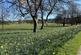 Additional image 18 of Crieff Road, Perth