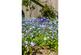 Additional image 18 of Church Path, Deal, Kent, CT14