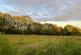 Additional image 45 of Dihewyd, Lampeter