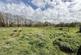 Additional image 47 of Dihewyd, Lampeter