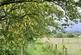 Additional image 50 of Dihewyd, Lampeter