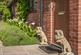 Additional image 19 of Picketts Hill, Sleaford