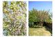 Additional image 24 of Eastmont Road, Esher, KT10