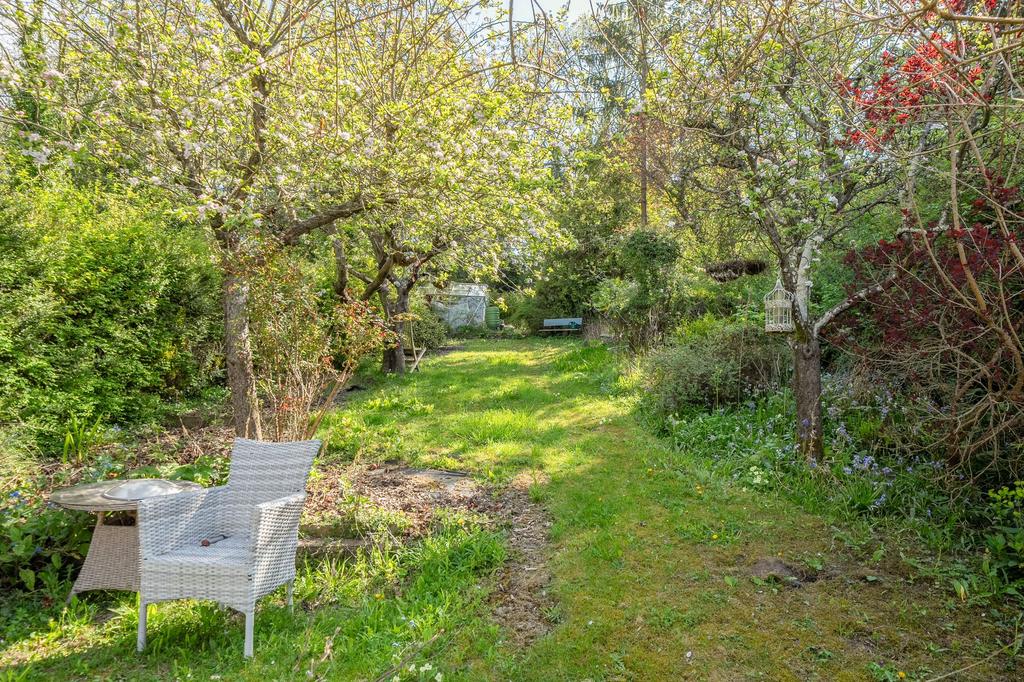 Garden view, garden